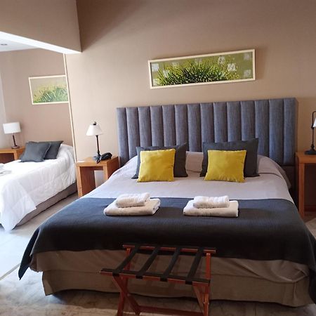 De Los Andes Hotel Boutique ルハン・デ・コージョ エクステリア 写真